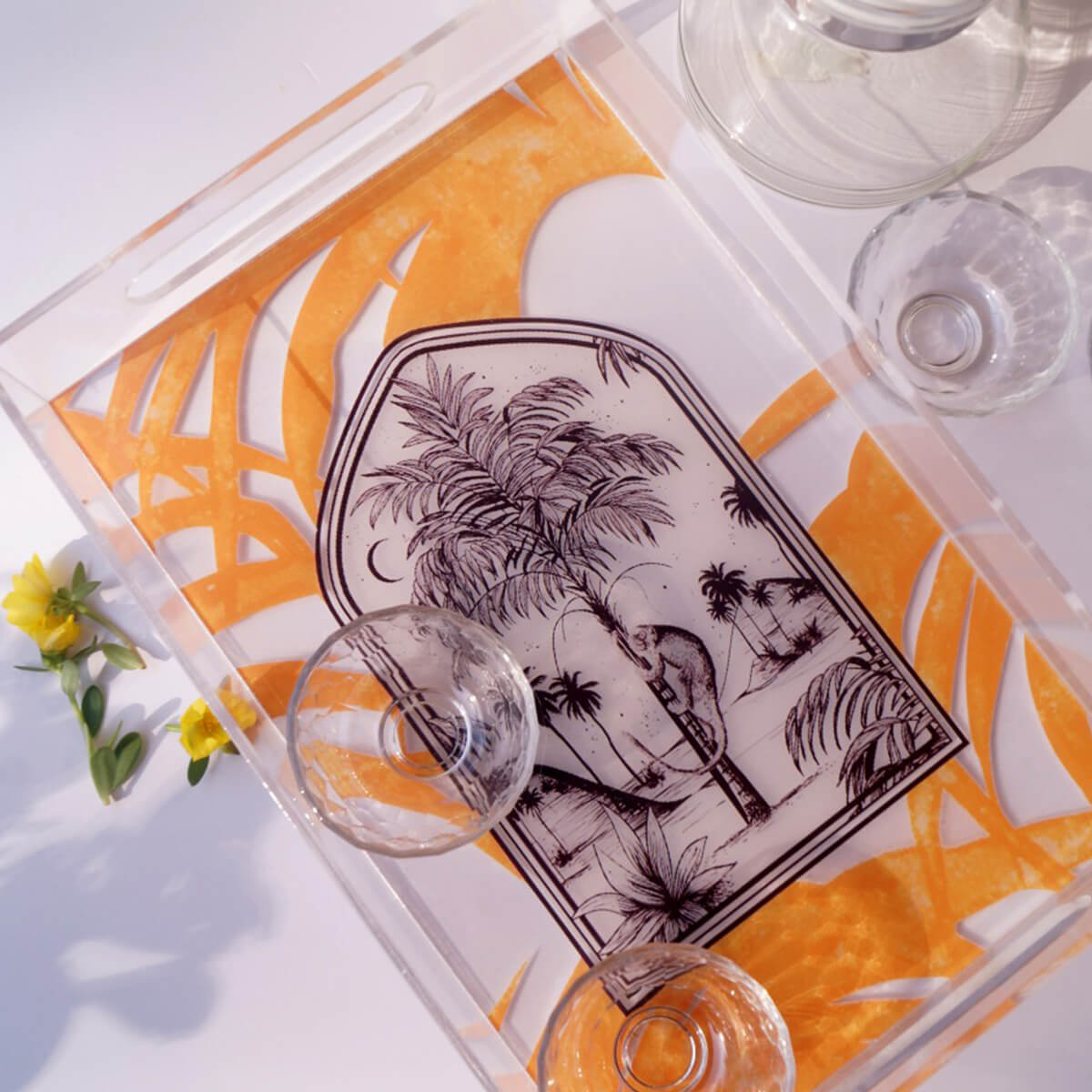 Acrylic Trays Gift Boxes