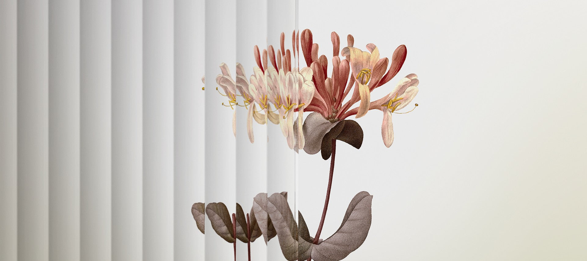 Desktop Slider Image