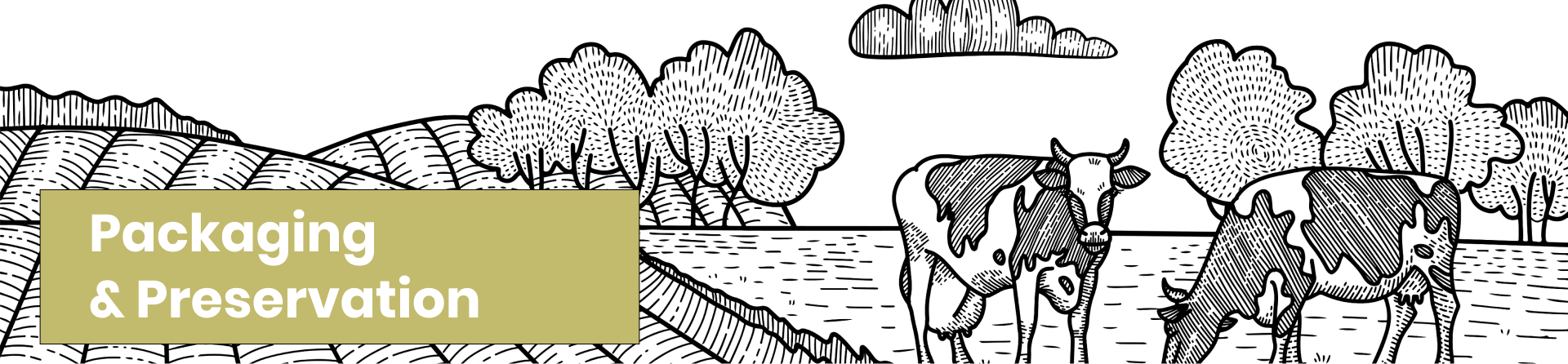 Desktop Slider Image