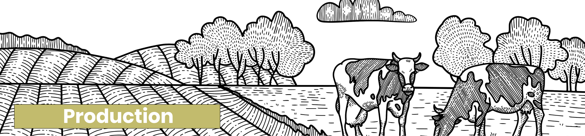 Desktop Slider Image